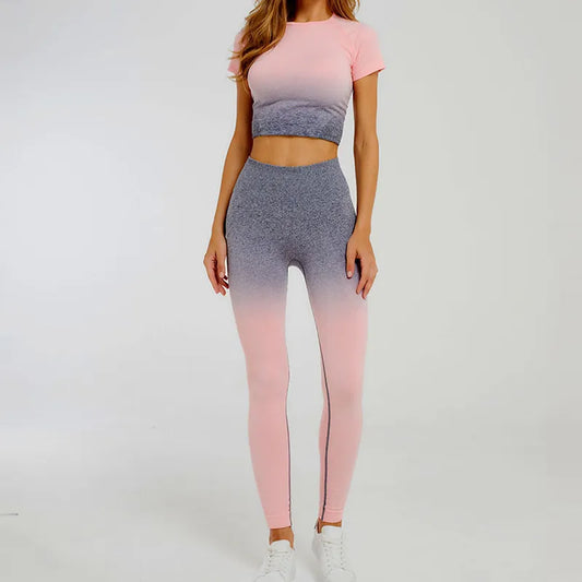 Gradient Seamless Gym Clothing Set